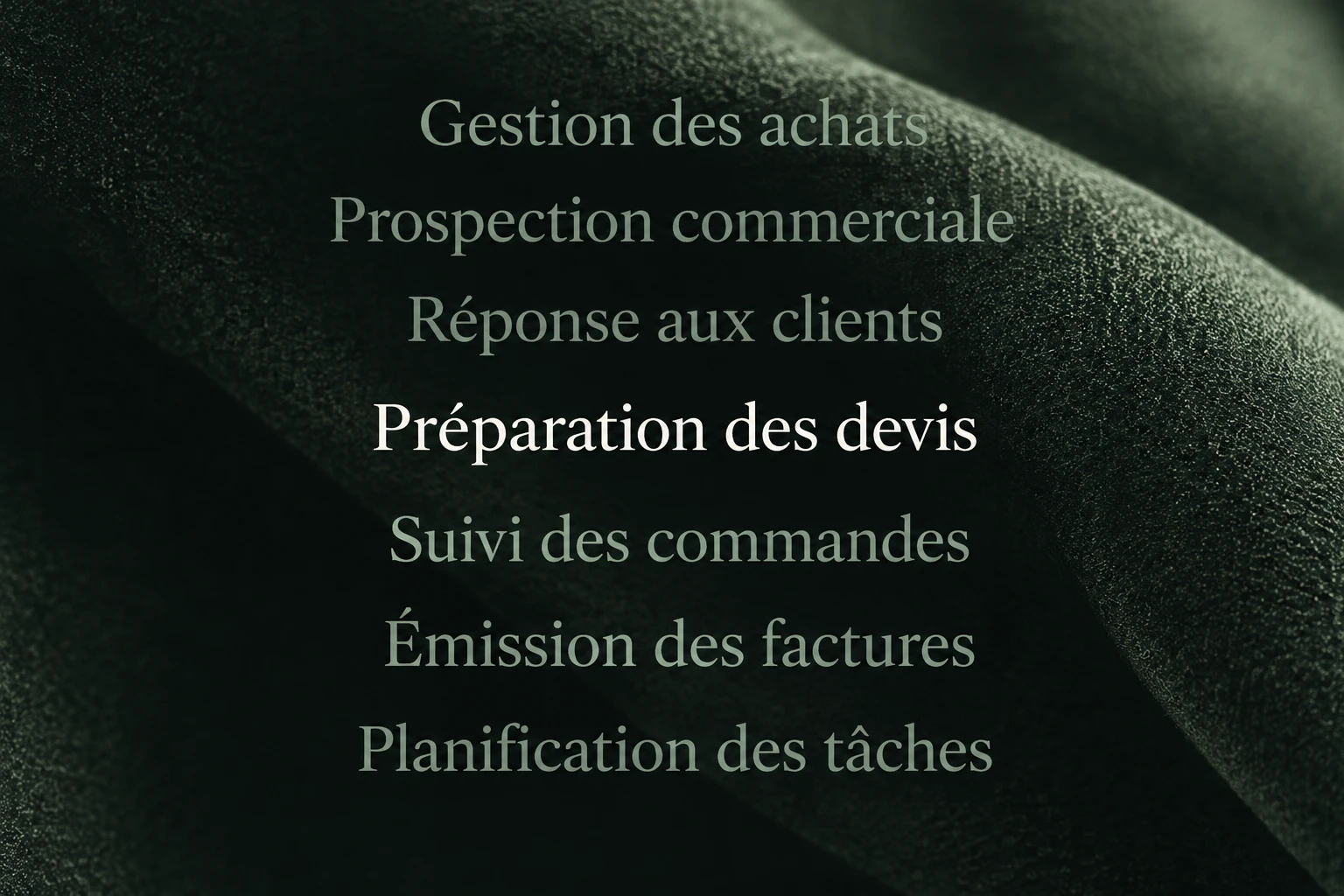 Composition graphique listant des processus métier sur une matière vert sombre, avec la préparation des devis mise en lumière.